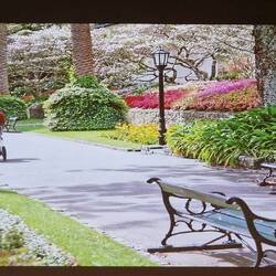 Botanischer Garten in Wellington