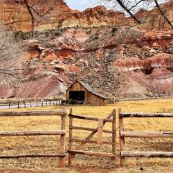 So many photo opportunities at Fruita