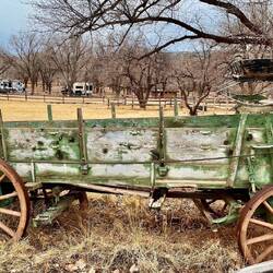 The Wagon