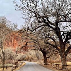 The road through Fruita