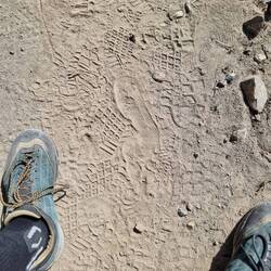 Mal wieder ein Rätsel für unsere Spurensucher*innen (ja, es ist wonach es aussieht)