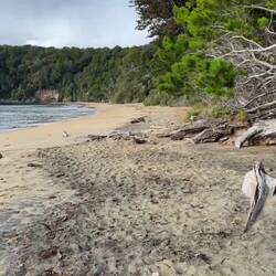 Ein sehr müder Seelöwe 🥱