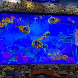 open water dive at Taipeh airport