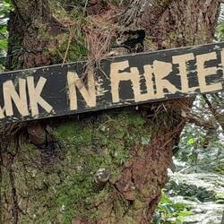 Funny Name for a trail grade 5