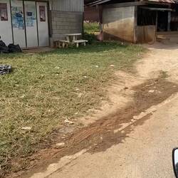 Rückweg nach Chiang Mai