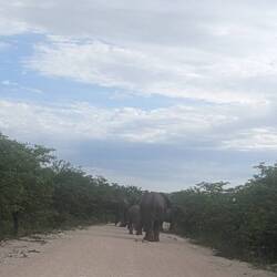The roadblock.