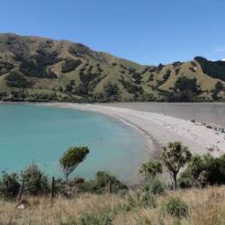 Cable Bay zum Beispiel 🤩😍