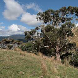 ... und andere schöne Natur