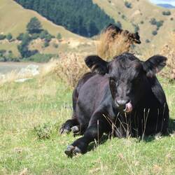 Mit neugierigen Strandbewohnern😀