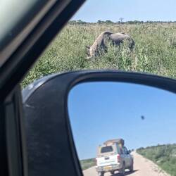 If a car is parked somewhere, you know there is something happening. These guys came upon us.