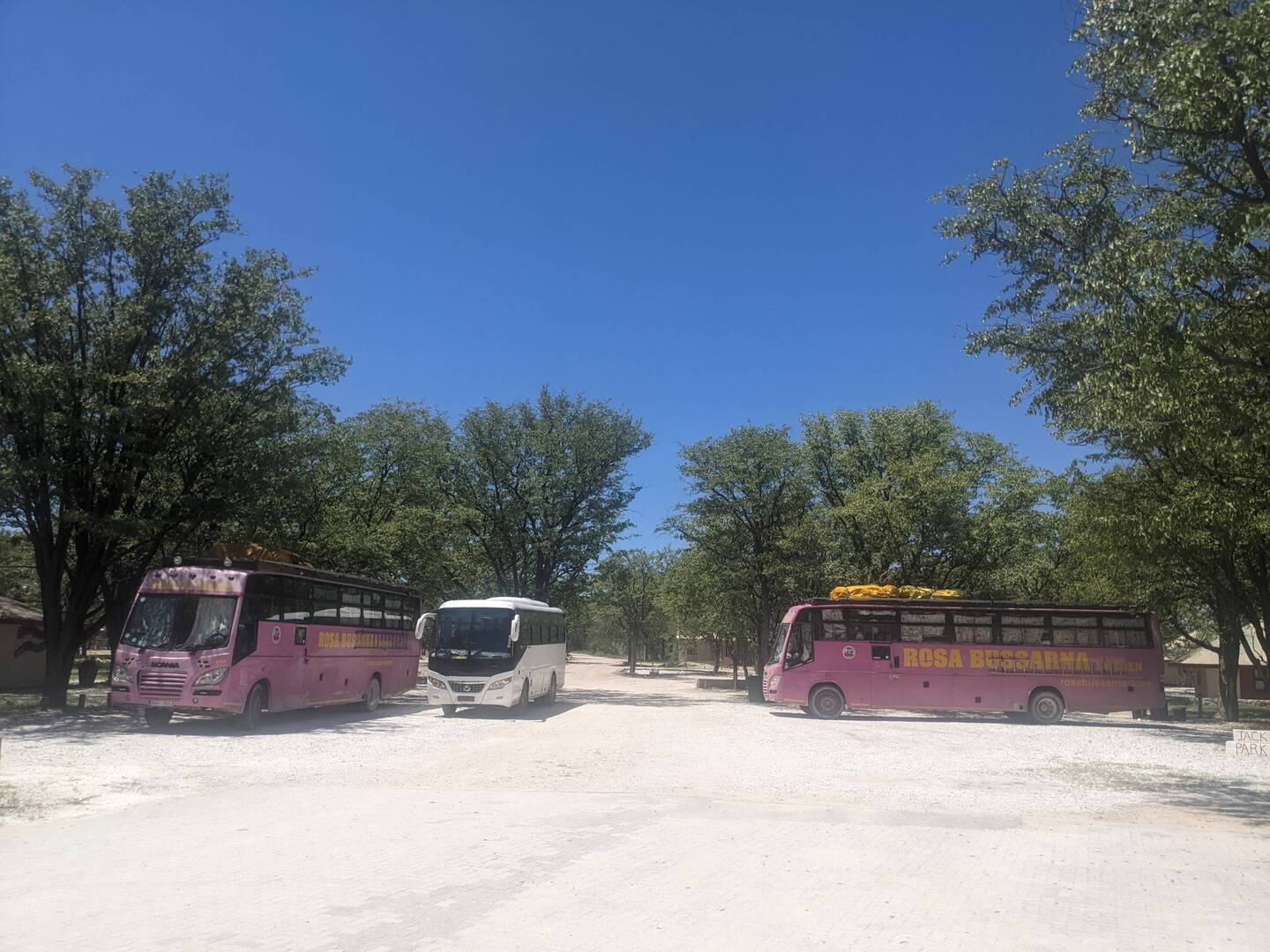 The pink buses from Sweden.