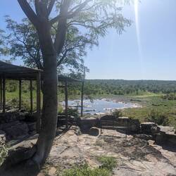 The moringa watering hole near Halali Camp during daylight.