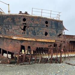 Das Schiff gehörte zur Estancia. Schafe wurden von den Falklandinseln hertransportiert.