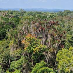 Blick von der Plattform bei Mundo Perdido