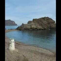 Tolle musikalische Einlage