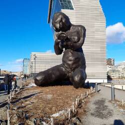 No explanation of what this is