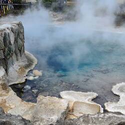 Und in diesem Pool kochen sich die Maori ihr Essen. In diesem Fall Mais 🌽