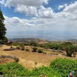 Blick von der Terrasse des Hotels