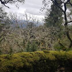 Balkon mit grandioser Ausicht
