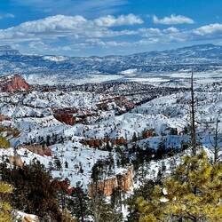 The more you look the more you see