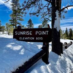 You can see the depth of the snow - the ground is level with the path normally