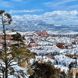 This is the point in the park where you come to take sunrise photos