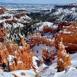 A sight we will forever hold in our memory banks