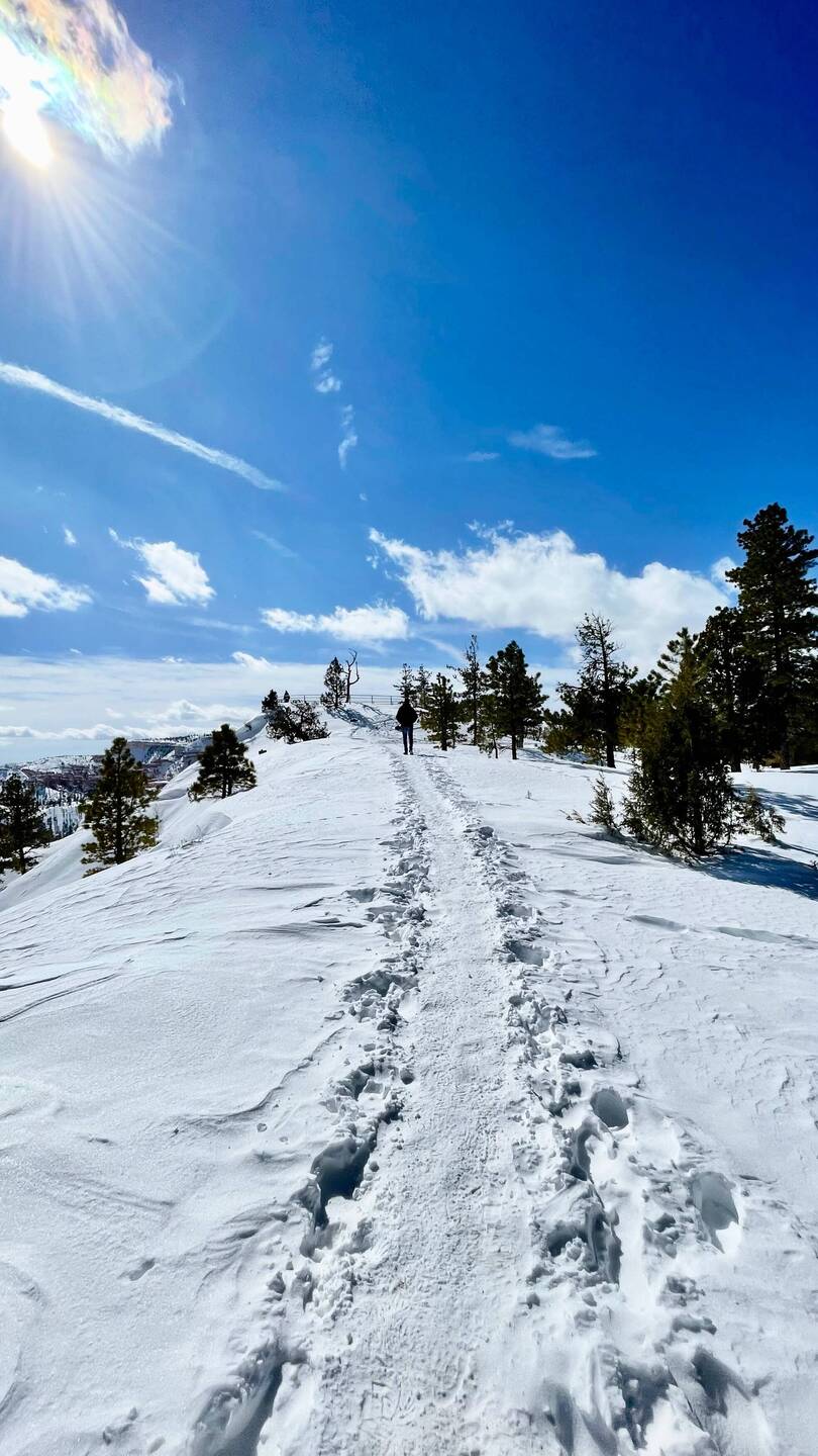 So much snow, the path was buried a few metres below