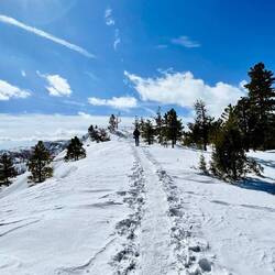 So much snow, the path was buried a few metres below