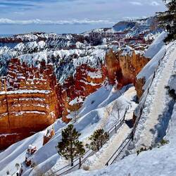 As you can see from the path, people were still trekking down into the canyon