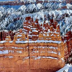 We feel so privileged to see Bryce in snow laddened glory