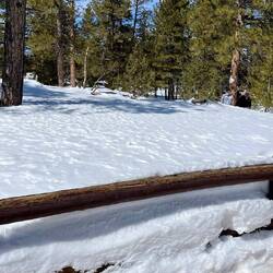 The height of the snow!