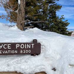 The depth of the snow