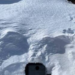 The trash bin buried in snow