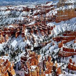 The way the wind makes waves in the snow captivated us both