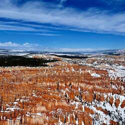The blue of the sky!