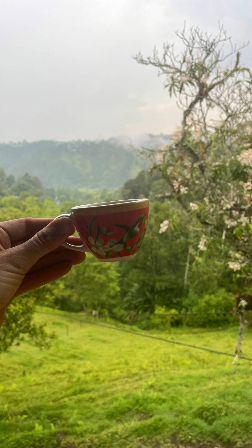 Köstlicher Kaffee mit verregnetem Blick