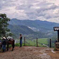 Überall trifft man hier auf Pferde