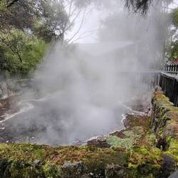 Phu, hier qualmt es aber. Wie überall in Rotorua, heiße Quellen.