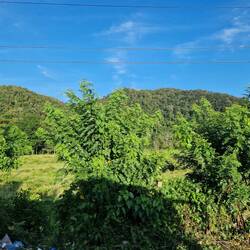 Landschaft unterwegs