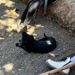 Buddy für die letzten 400 Meter Abstieg