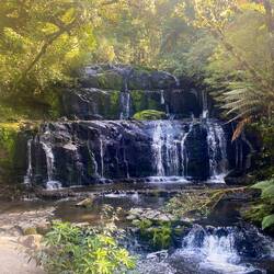 Purakaunui Falls