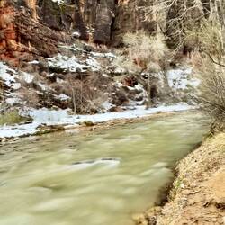 The Virgin River near the Narrows in the Zion National Park
