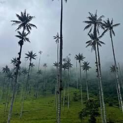 Huch - auf einmal sieht Wölfi so klein aus!