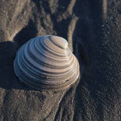 Zumindest ein Karnickel tauchte auf, aber auch noch andere hübsche Sachen gesehen😊🙃