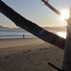 ... nach Rabbit Island