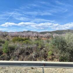 Frühling auf dem Weg nach Valencia zur Zeit 20 Grad