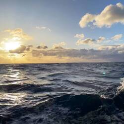 Kap Hoorn am Horizont