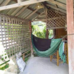 ..direkt 'im' neu eröffneten Restaurant 😝