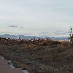 Spaziergang am Strand mit Blick auf Ibiza